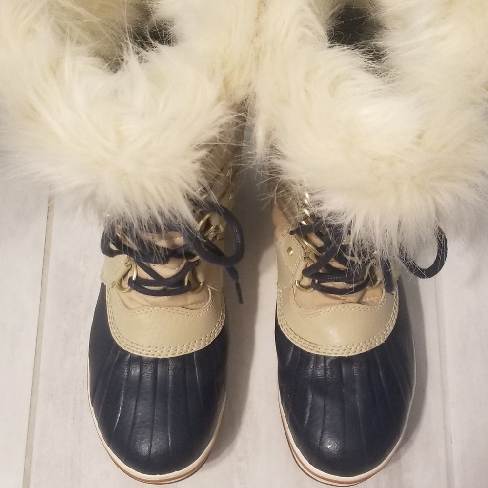 Sorel Tolfino ii